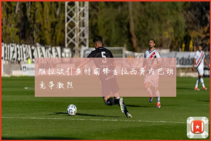 维拉欲引多特前锋吉拉西费内巴切竞争激烈